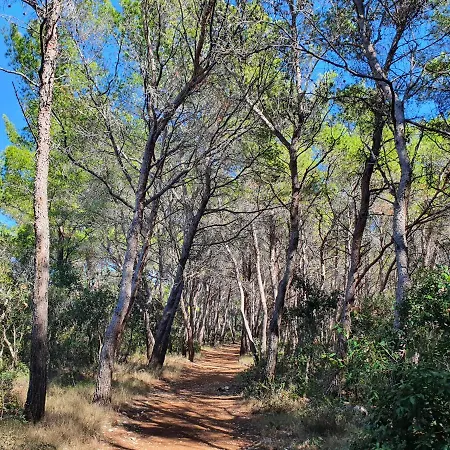 Casa Naranja Croatia 아파트